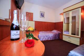 Отель Hotel Aneli Сандански Двухместный номер с 1 кроватью или 2 отдельными кроватями-4