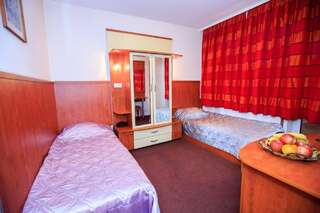 Отель Hotel Aneli Сандански Двухместный номер с 1 кроватью или 2 отдельными кроватями-5