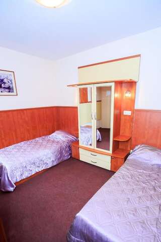Отель Hotel Aneli Сандански Двухместный номер с 1 кроватью или 2 отдельными кроватями-6