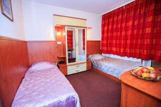 Отель Hotel Aneli Сандански Двухместный номер с 1 кроватью или 2 отдельными кроватями-16